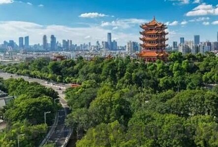 91麻豆精品观看国产-解锁多元娱乐新体验，91麻豆精品下探索国产魅力