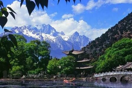 大象传媒河南-大象传媒在河南，文化传播的桥梁与力量