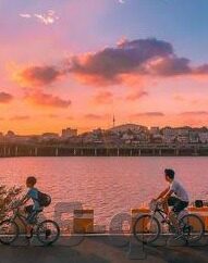 大象传媒 米欧-探索大象传媒与米欧的创意融合，构建品牌新纪元