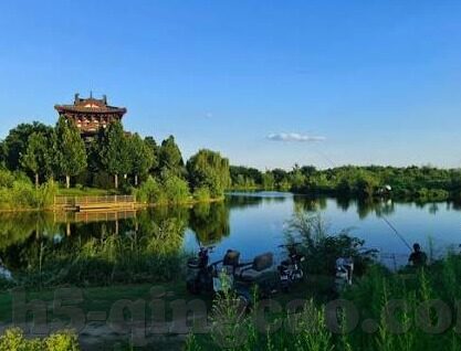 大象英语视频教学视频-大象英语，视频教学新纪元