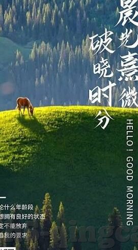 亚洲免费的成人在线视频-亚洲免费成人在线视频，网络时代的文化与伦理边界